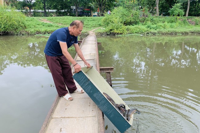One-day Practice at Dong Cao Pagoda, Thanh Hoa