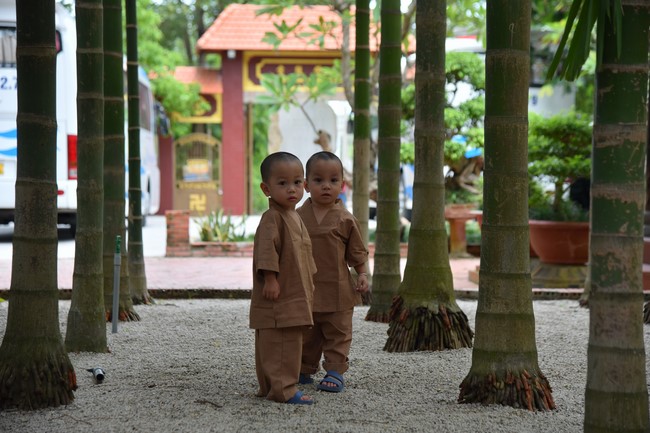 Nhóm Hiểu và Thương: Cúng dường Trường Hạ - 2023