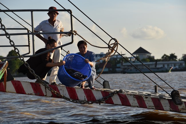 The 6th One-Day Retreat, and Celebrating the Longevity at Minh Chat Ashram in Can Tho