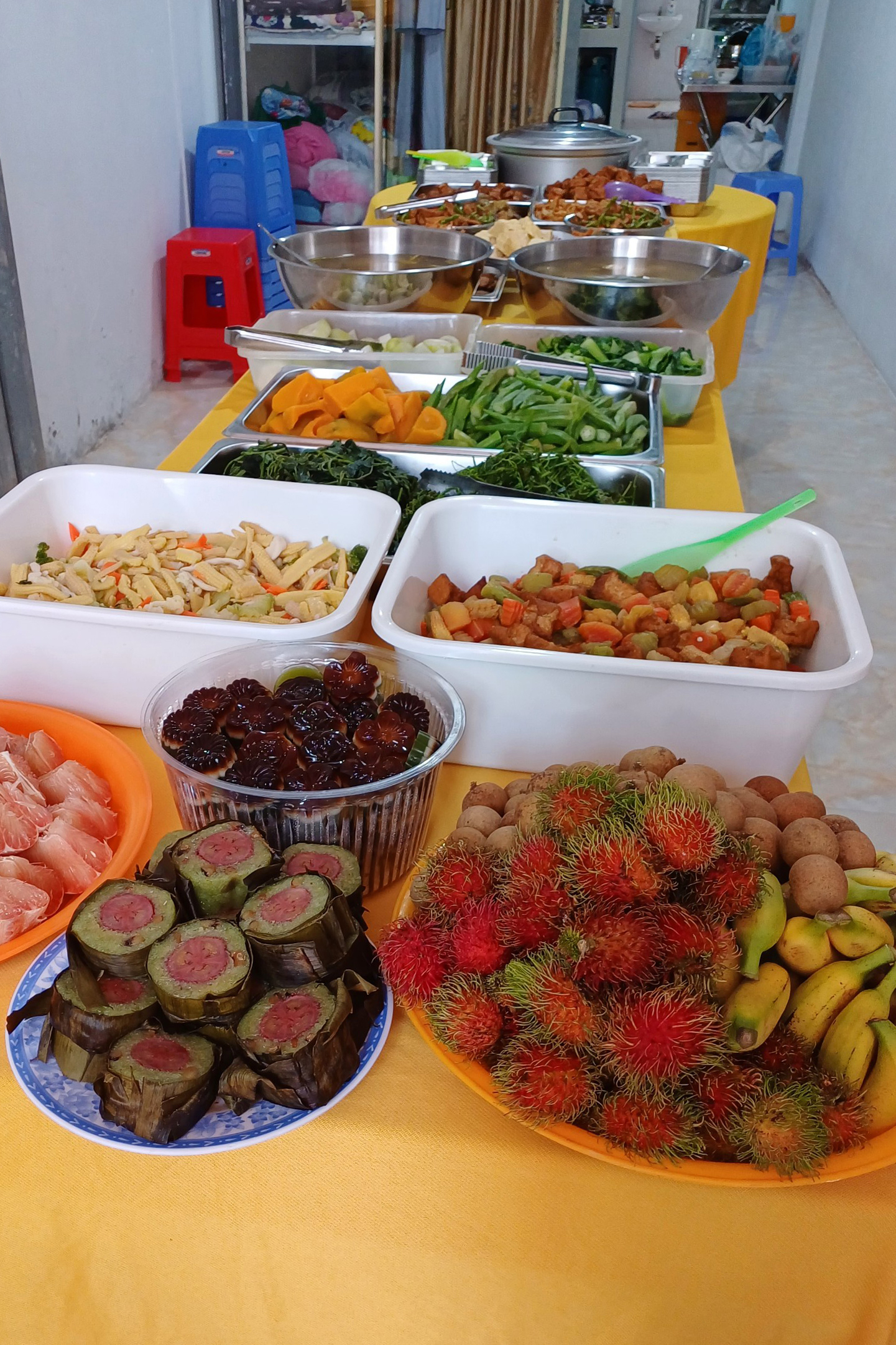 The 6th One-Day Retreat, and Celebrating the Longevity at Minh Chat Ashram in Can Tho