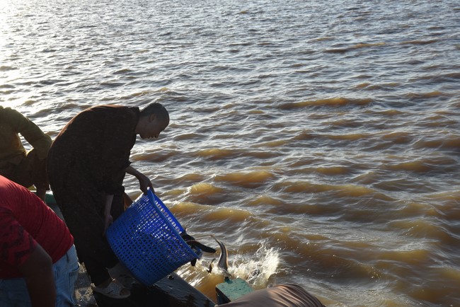 The 6th One-Day Retreat, and Celebrating the Longevity at Minh Chat Ashram in Can Tho