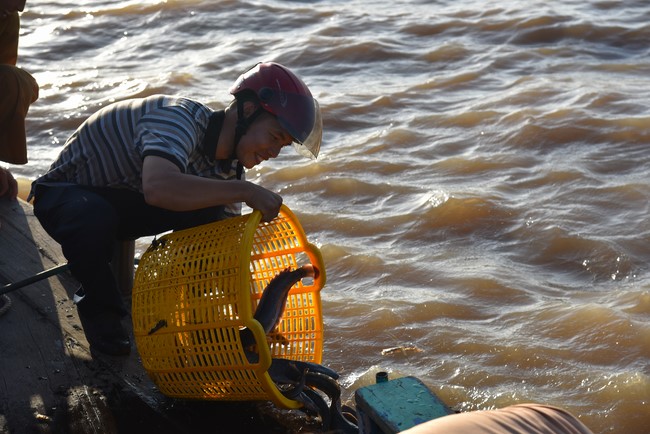 The 6th One-Day Retreat, and Celebrating the Longevity at Minh Chat Ashram in Can Tho