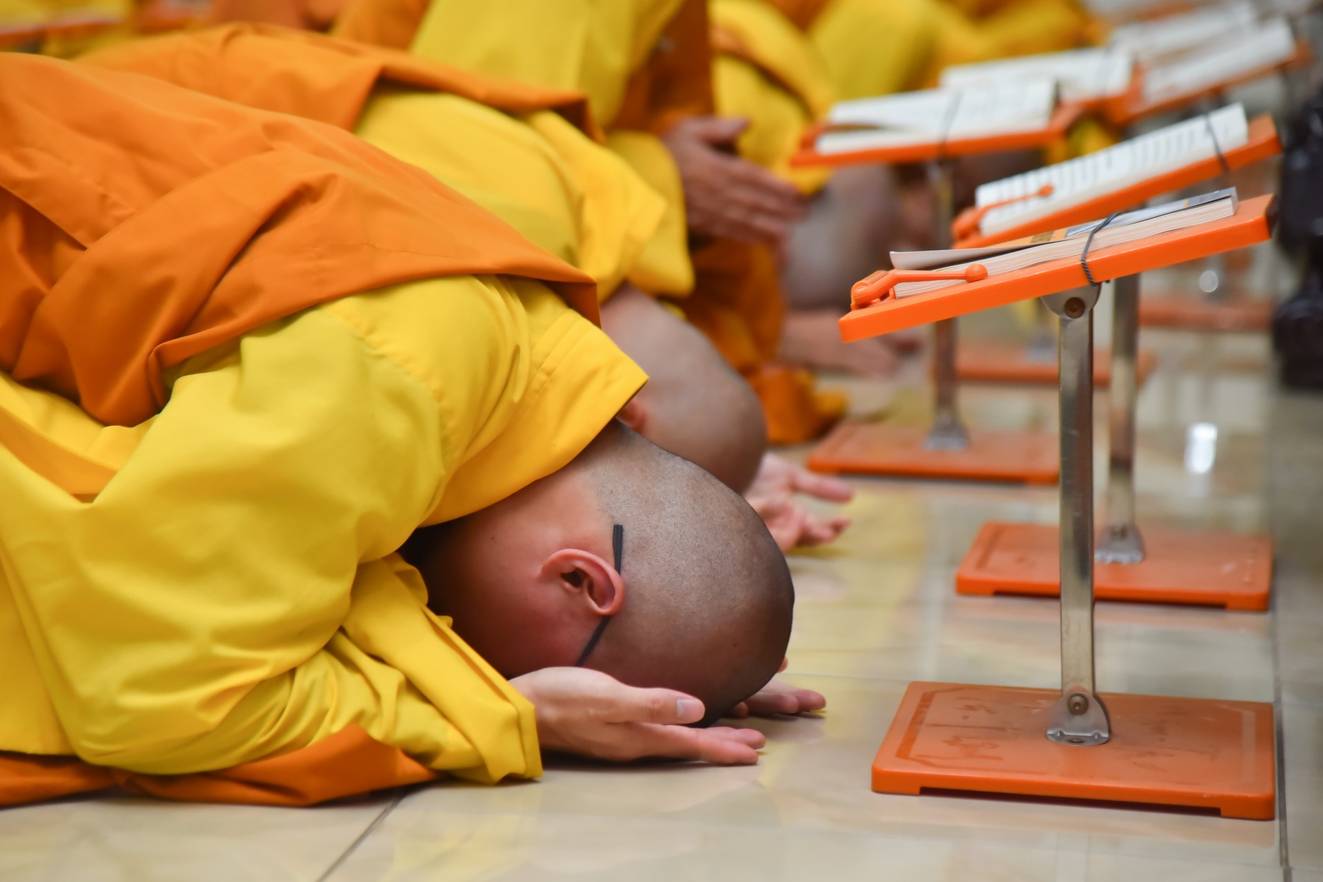 Repentance ceremony on July 30th, Year of the Cat