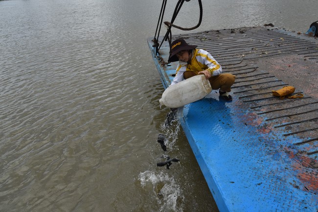 Releasing creatures in Cu Chi district of the Charity Board