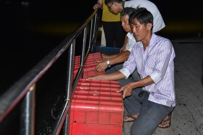 Releasing creatures in Cu Chi district of the Charity Board