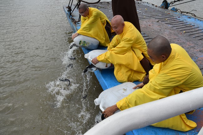 Releasing creatures in Cu Chi district of the Charity Board