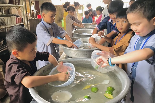 The 13th Lotus seeds Sowing Retreat at Dong Cao Pagoda, Thanh Hoa