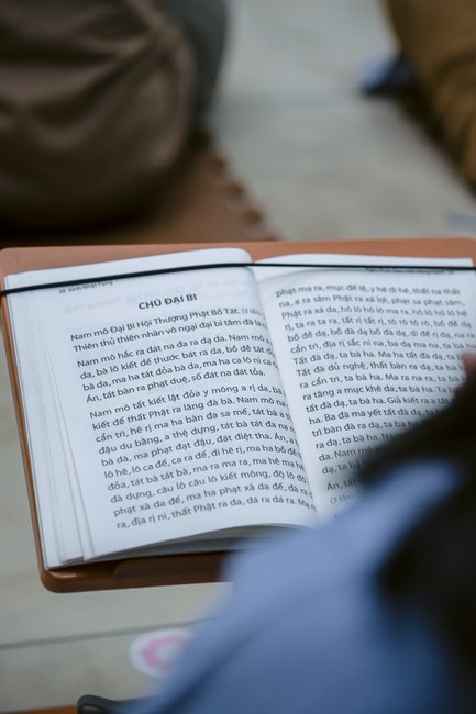 Repentance ceremony on Nov. 29th, Year of the Cat