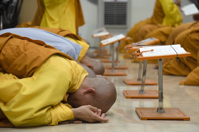 Repentance ceremony on Nov. 29th, Year of the Cat