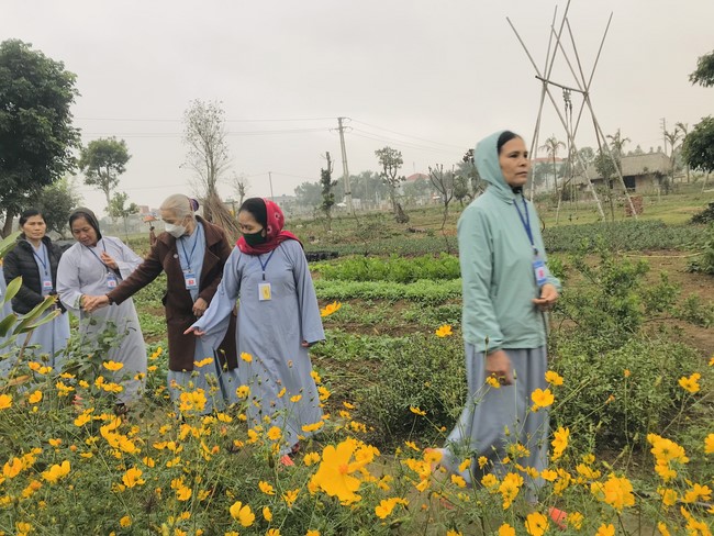 The 15th I have returned... Retreat at Dong Cao Pagoda, Thanh Hoa