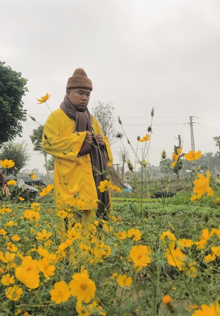 The 15th I have returned... Retreat at Dong Cao Pagoda, Thanh Hoa