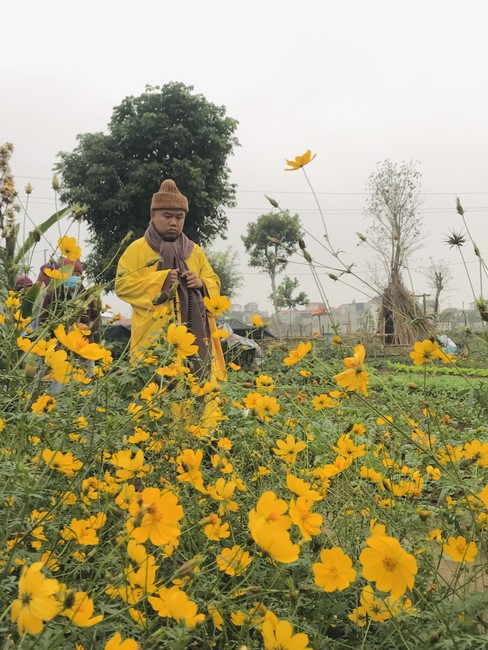 The 15th I have returned... Retreat at Dong Cao Pagoda, Thanh Hoa