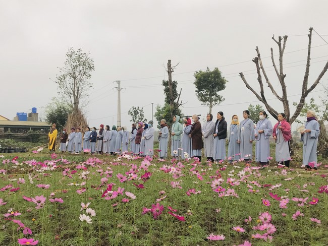 The 15th I have returned... Retreat at Dong Cao Pagoda, Thanh Hoa