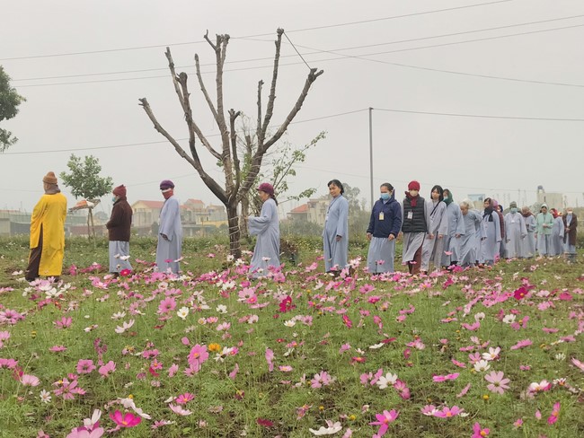 The 15th I have returned... Retreat at Dong Cao Pagoda, Thanh Hoa