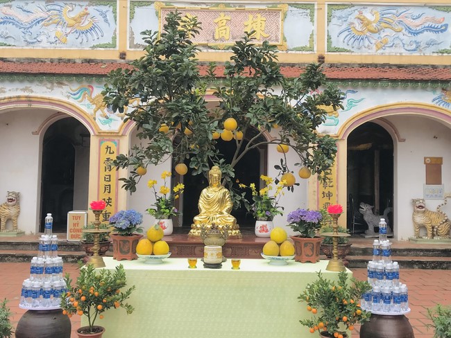 The 15th I have returned... Retreat at Dong Cao Pagoda, Thanh Hoa