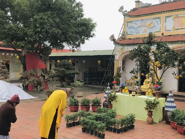 The 15th I have returned... Retreat at Dong Cao Pagoda, Thanh Hoa