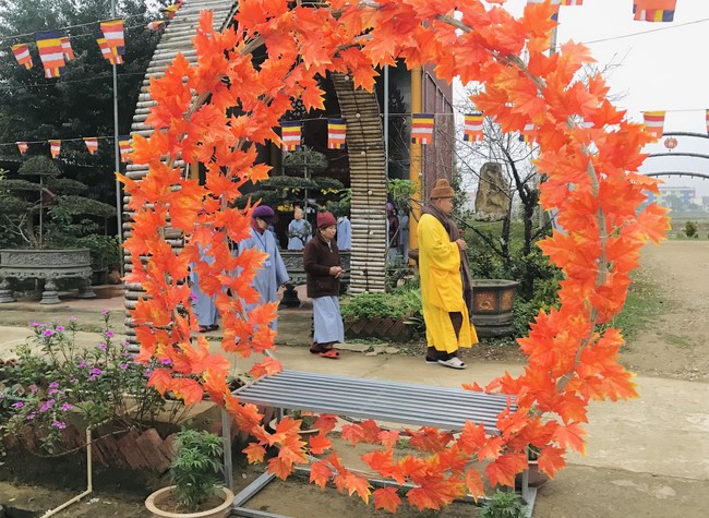 The 15th I have returned... Retreat at Dong Cao Pagoda, Thanh Hoa