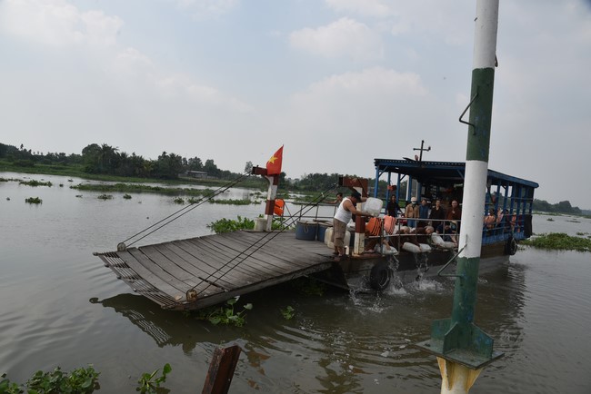 Release creatures and praying for peace to Toan Phat Logistics Co., Ltd and Trang Nguyen Co., Ltd by the Charity Board