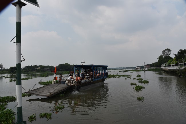 Release creatures and praying for peace to Toan Phat Logistics Co., Ltd and Trang Nguyen Co., Ltd by the Charity Board