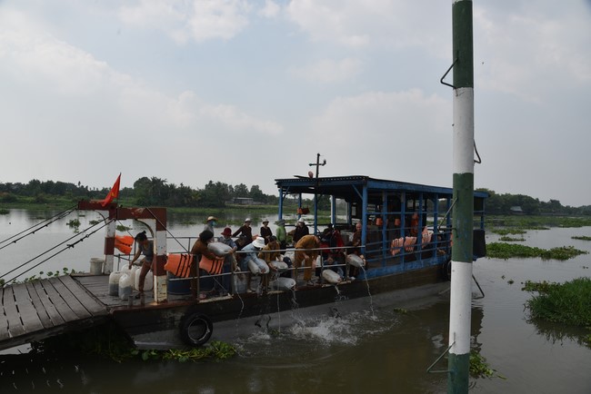 Release creatures and praying for peace to Toan Phat Logistics Co., Ltd and Trang Nguyen Co., Ltd by the Charity Board