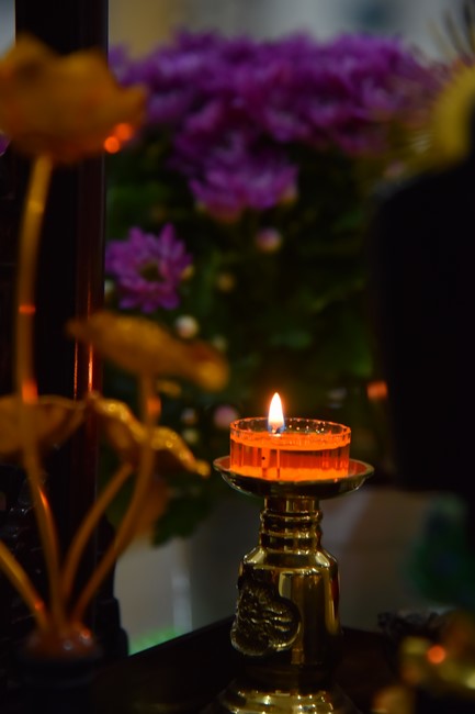 The Ordination Ceremony on Nov. 20th, Year of the Cat