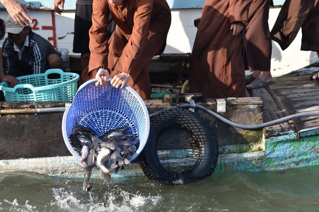 The 6th gratitude Ceremony and One-Day Practice at Minh Chat ashram in Can Tho
