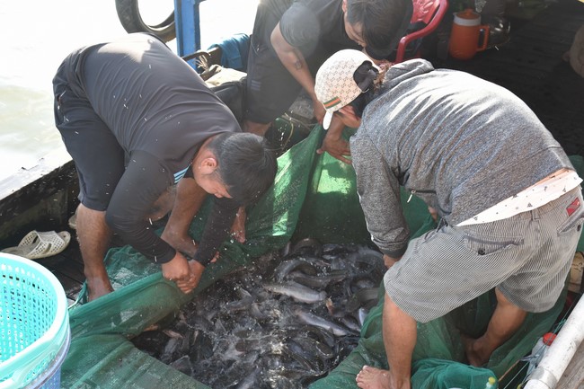 The 6th gratitude Ceremony and One-Day Practice at Minh Chat ashram in Can Tho