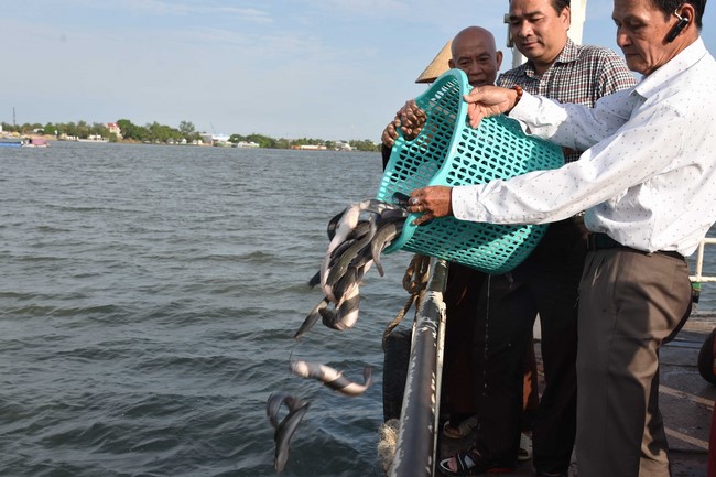 The 6th gratitude Ceremony and One-Day Practice at Minh Chat ashram in Can Tho