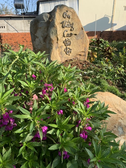 Repentant ceremony at Suoi Phap Pagoda