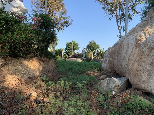Repentant ceremony at Suoi Phap Pagoda