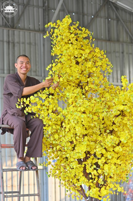 Công tác chuẩn bị đón xuân Giáp Thìn