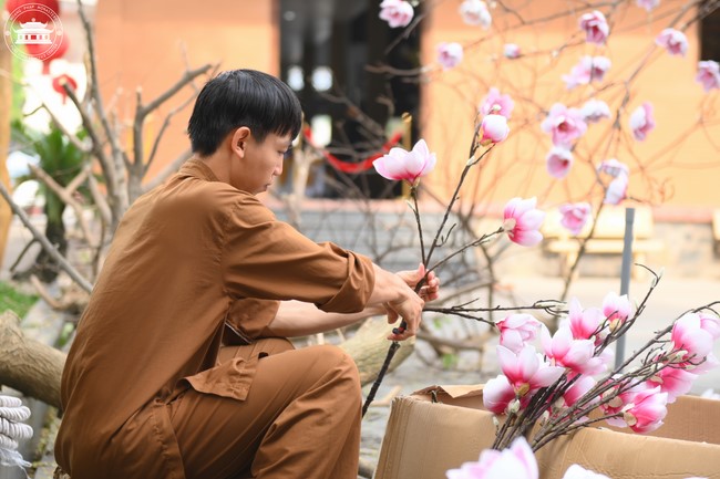 Công tác chuẩn bị đón xuân Giáp Thìn