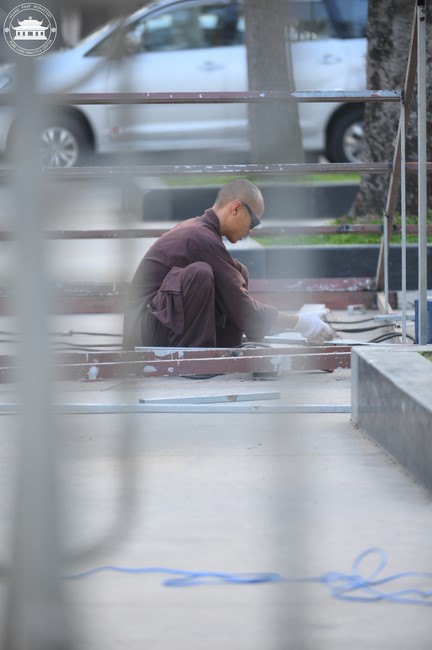 Công tác chuẩn bị đón xuân Giáp Thìn