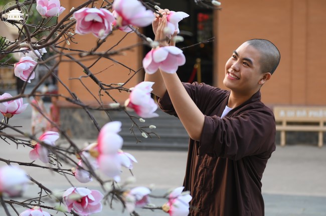 Công tác chuẩn bị đón xuân Giáp Thìn