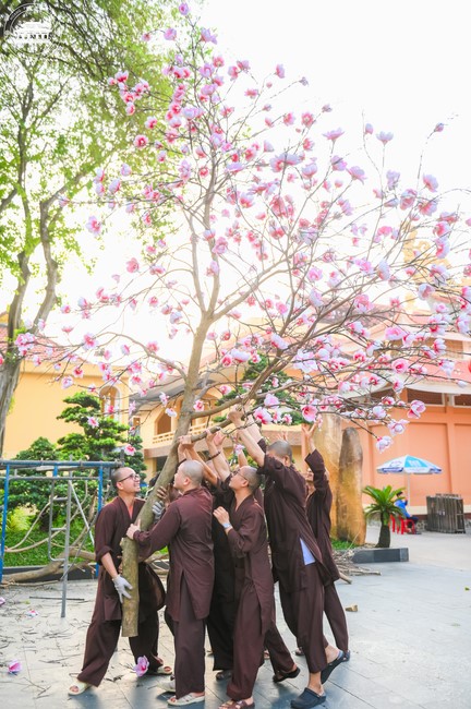 Công tác chuẩn bị đón xuân Giáp Thìn