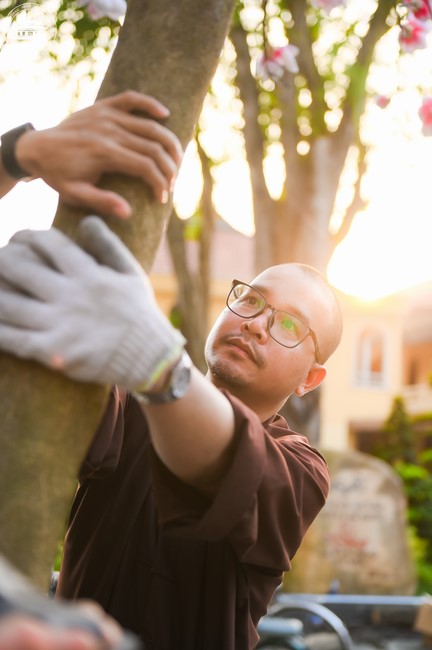 Công tác chuẩn bị đón xuân Giáp Thìn