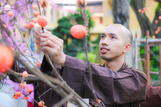 Công tác chuẩn bị đón xuân Giáp Thìn