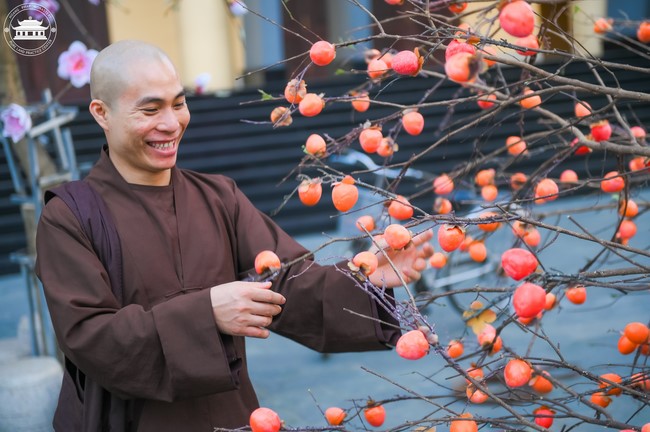 Công tác chuẩn bị đón xuân Giáp Thìn