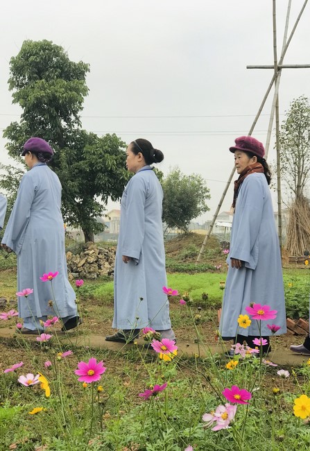 One - Day Practice at Dong Cao pagoda, Thanh Hoa