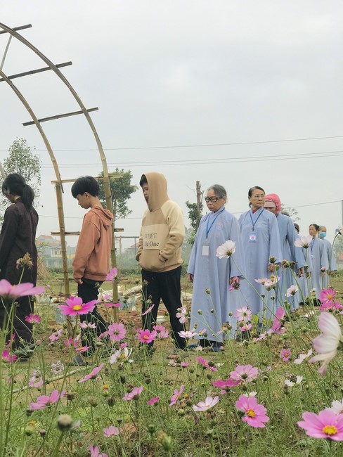 One - Day Practice at Dong Cao pagoda, Thanh Hoa