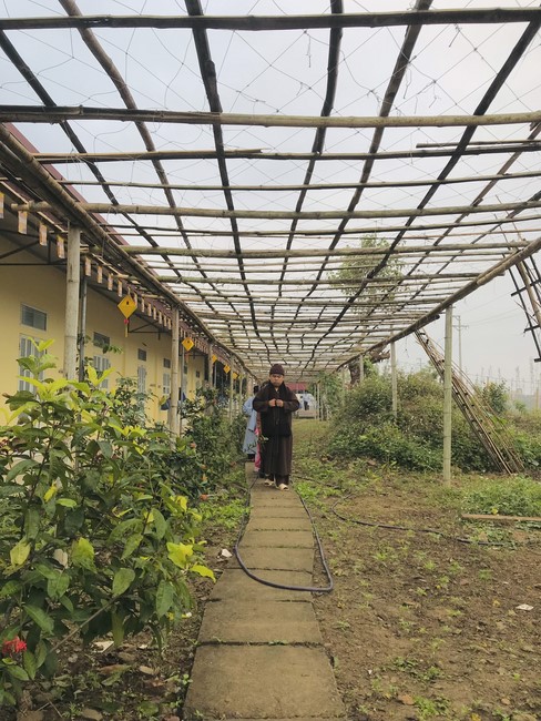One - Day Practice at Dong Cao pagoda, Thanh Hoa