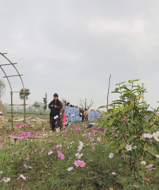 One - Day Practice at Dong Cao pagoda, Thanh Hoa