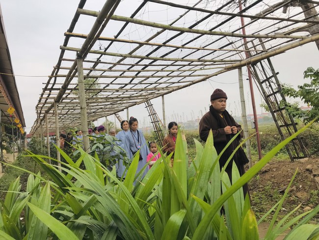 One - Day Practice at Dong Cao pagoda, Thanh Hoa