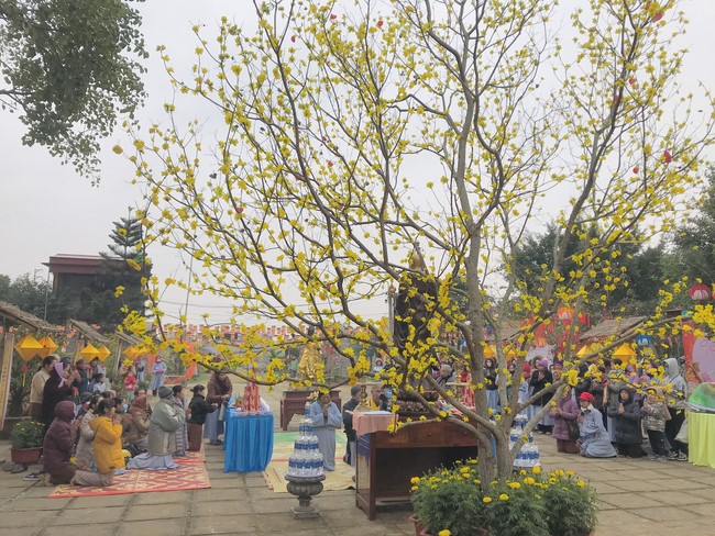 Year End Practice, a past year closing program, giving Tet gifts at Dong Cao pagoda