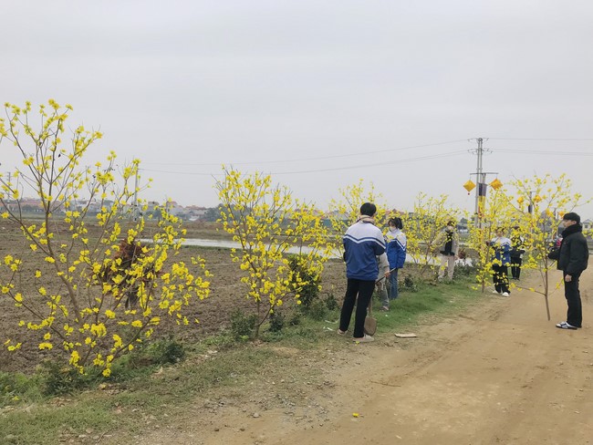 Year End Practice, a past year closing program, giving Tet gifts at Dong Cao pagoda
