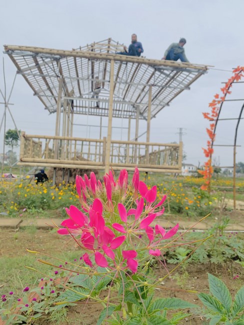 Year End Practice, a past year closing program, giving Tet gifts at Dong Cao pagoda