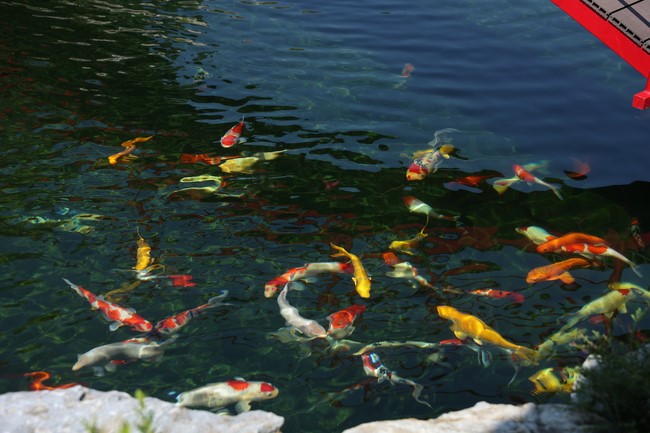 Chương Trình Giao Lưu Nhân Dân - Kết Tình Huynh Đệ Tại Khu Văn Hóa Tâm Linh Quỳnh Nhai Cam Lộ Tự - Phần 3: Tâm Linh, Gắn Kết và Tri Ân - Hành Trình Tại Quỳnh Nhai