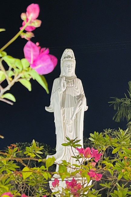 The 17th Retreat I have returned… at Dong Cao Pagoda, Thanh Hoa