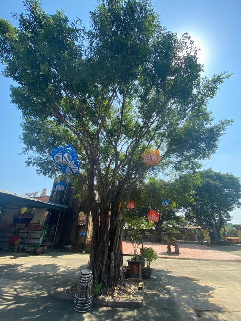 The 17th Retreat I have returned… at Dong Cao Pagoda, Thanh Hoa