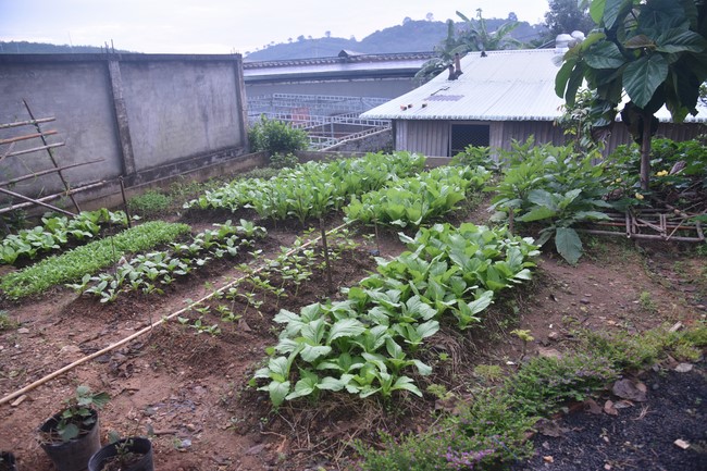 Late Great Master Death Anniversary – Hoang Phap Pagoda Founder and One-Day Practice at Dang Phap pagoda, Binh Phuoc